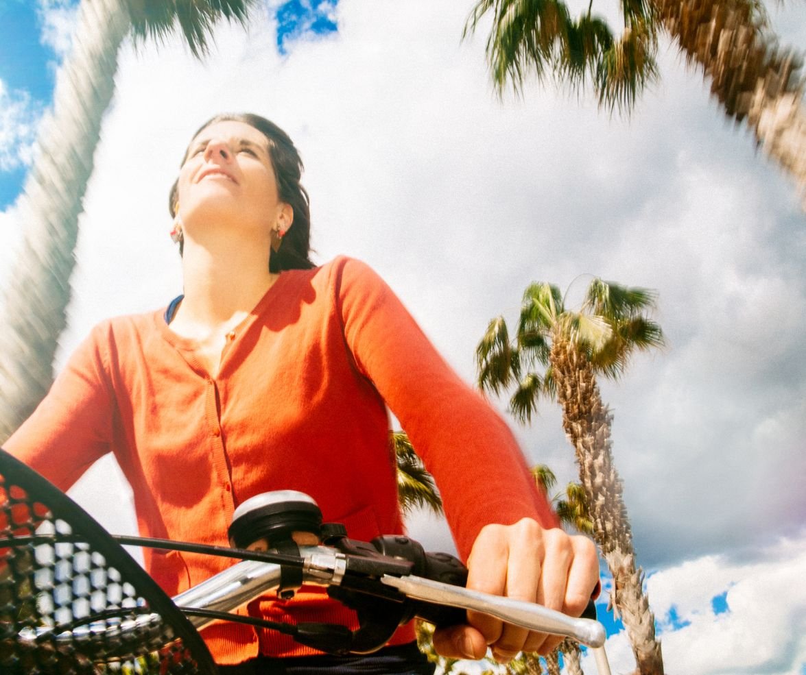 Standard E-Bikes