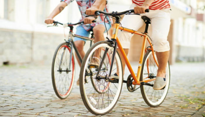 Standard E Bikes